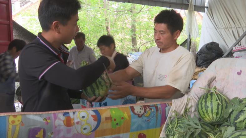 夏王村西瓜上市。項錦供圖