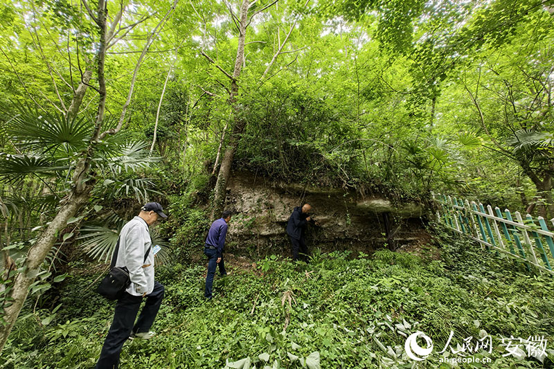 銅礦遺址古煉渣堆積層。人民網記者 汪瑞華攝