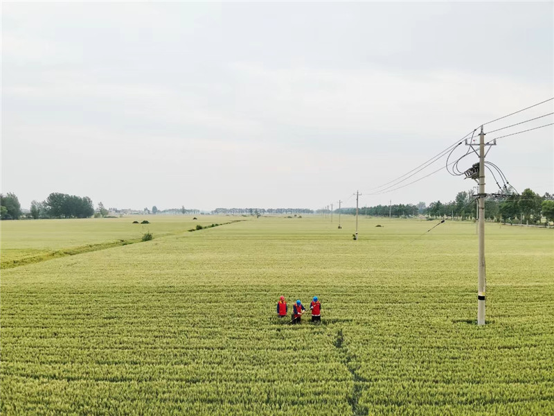 供電公司員工正在對農業生產線路進行安全巡視。