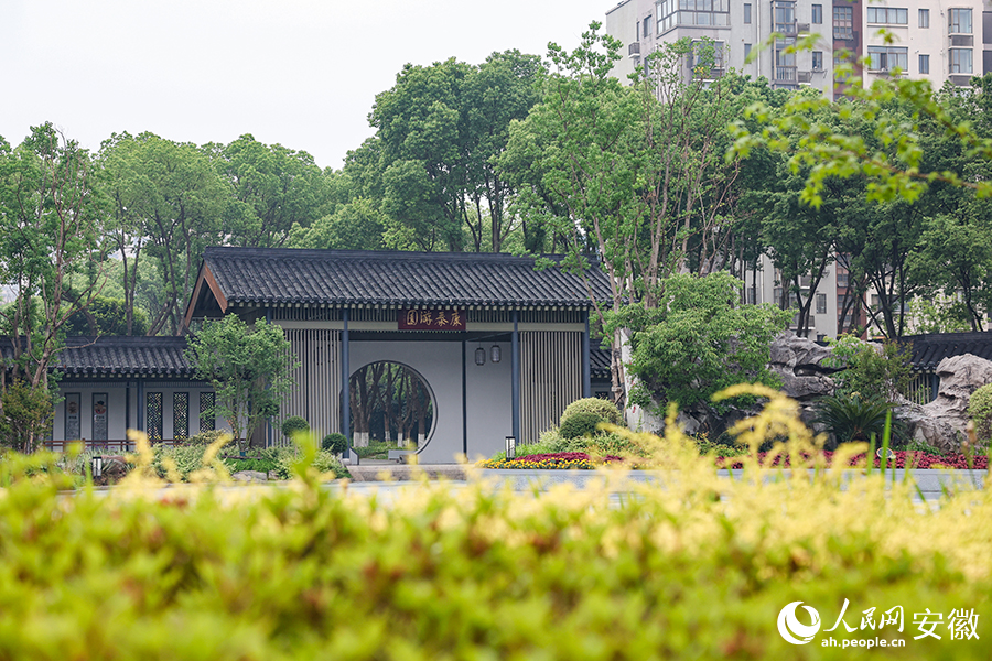 市民家门口的康泰游园。人民网记者 张俊摄