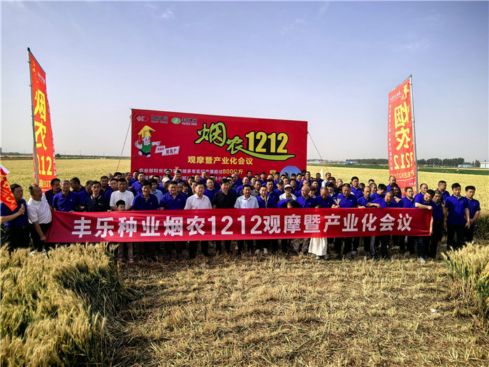 观摩大会现场。丰乐种业常规水稻小麦种子公司供图