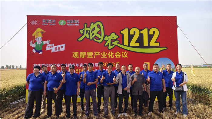 观摩大会现场。丰乐种业常规水稻小麦种子公司供图