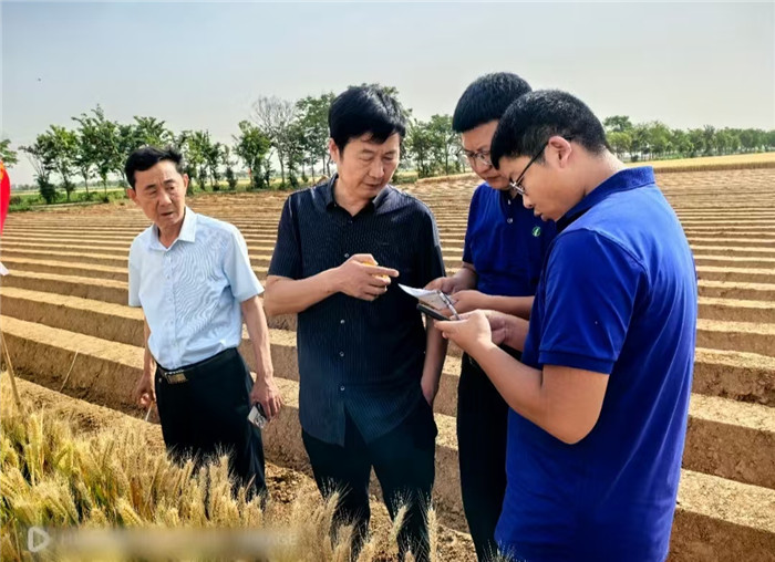 观摩大会现场。丰乐种业常规水稻小麦种子公司供图