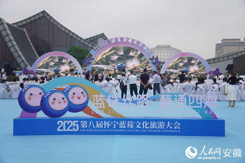 第八屆懷寧藍莓文化旅游大會現場。人民網記者 陳若天攝
