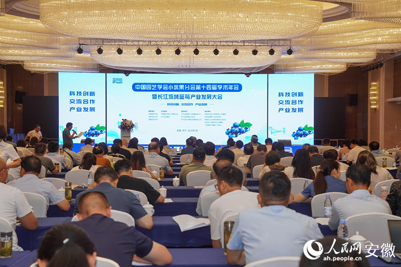 长江流域蓝莓产业发展大会现场。人民网记者 陈若天摄