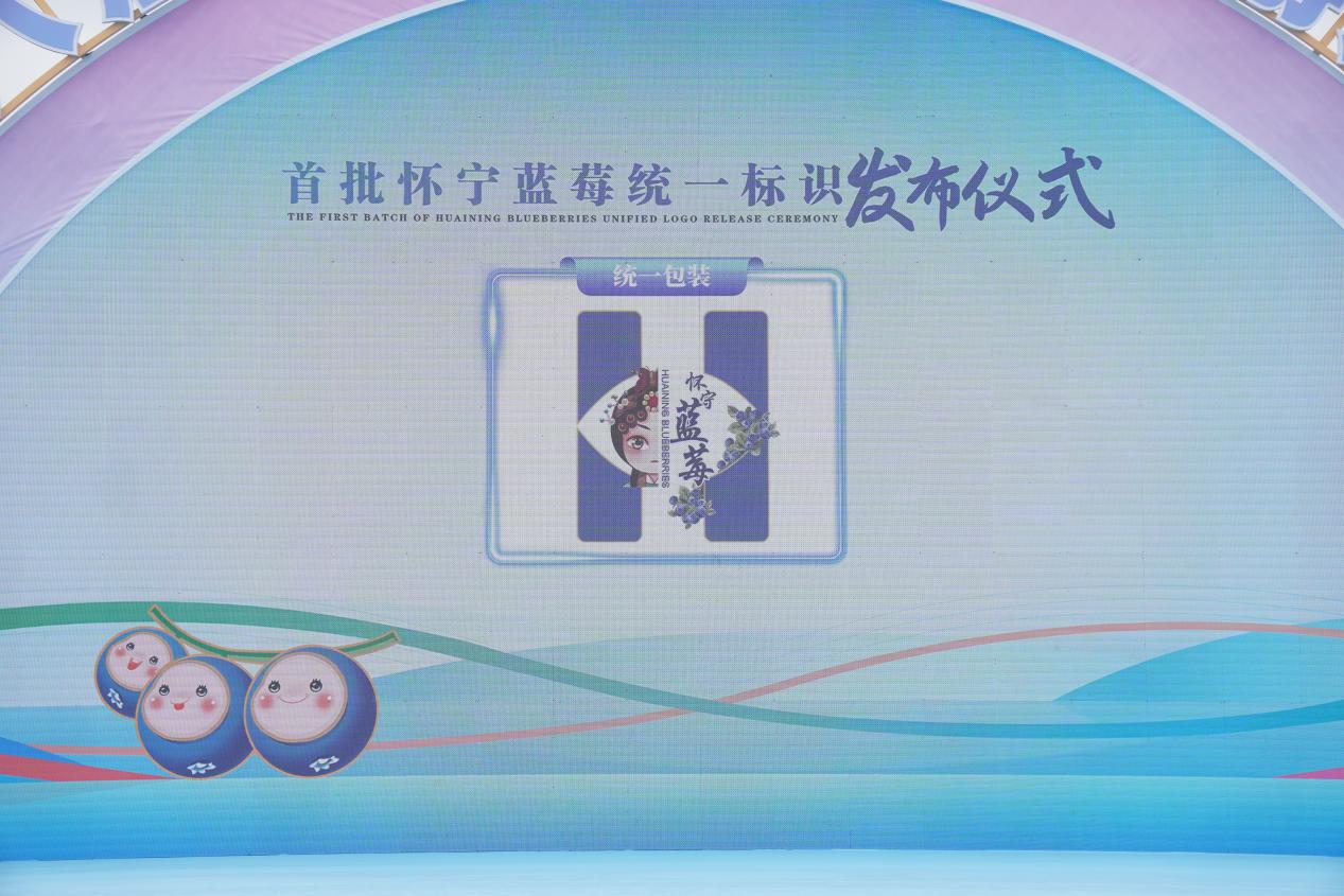“怀宁蓝莓”统一标识发布仪式现场。人民网记者 陈若天摄