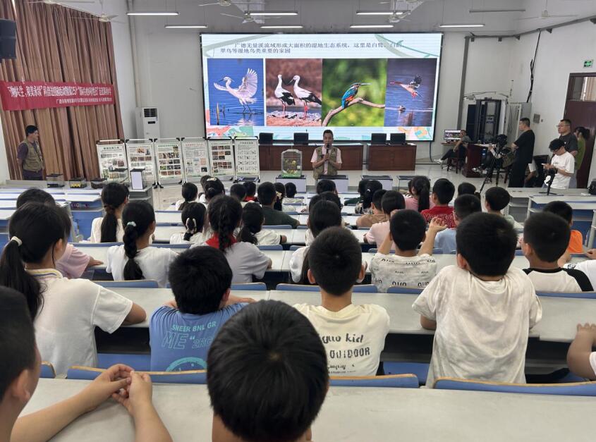 生物多樣性知識科普活動。