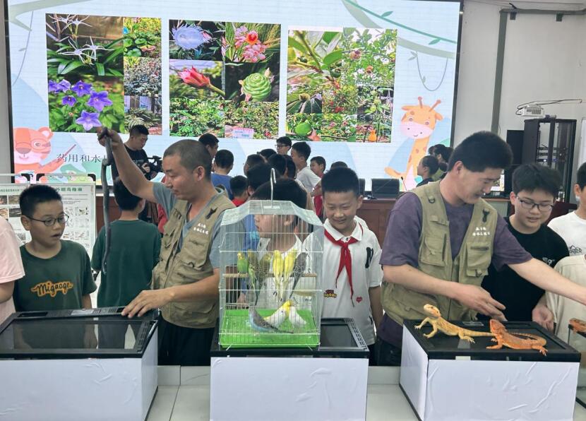 生物多樣性知識科普活動。