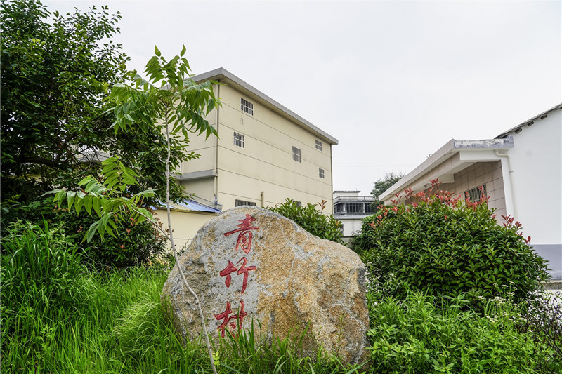青竹村。