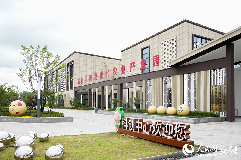 渦陽縣現代農業產業園外景。人民網記者 王銳攝