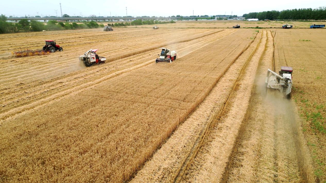 蚌埠淮上“丰”景【4】