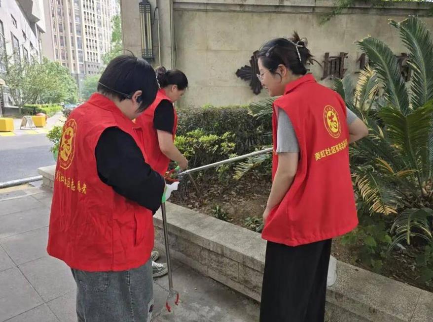 市级文明单位西园街道美虹社区志愿者清理绿化带环境卫生。