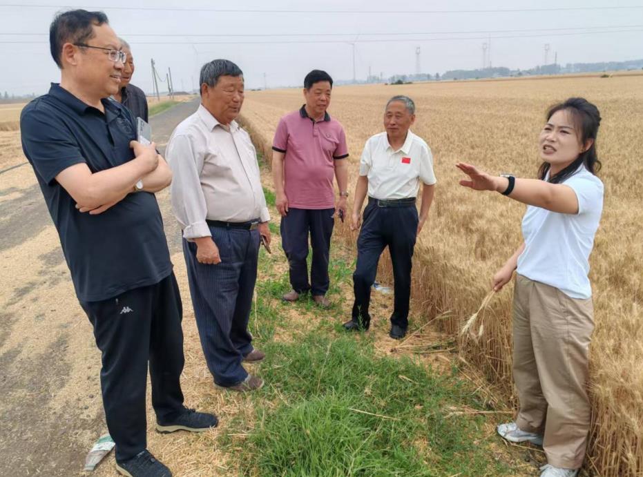 “90后”新農人周莉（右一）介紹返鄉筑夢之路。楊杰攝