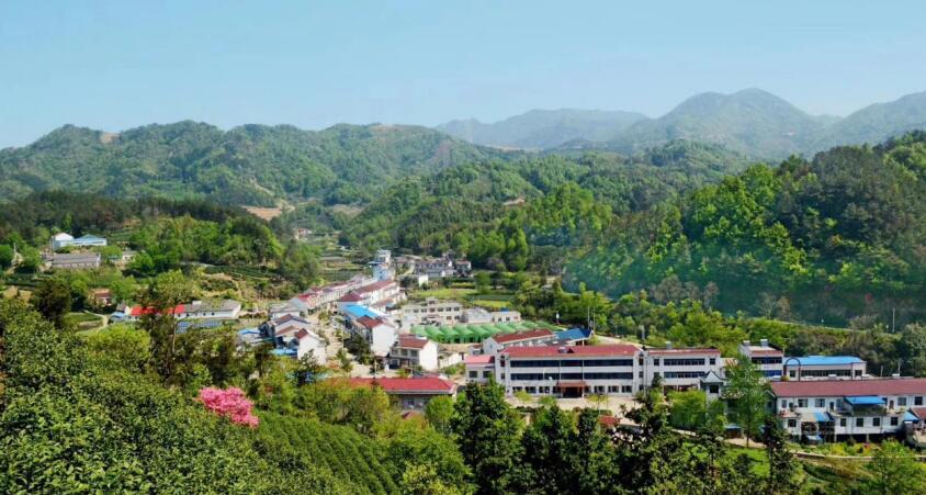 俯瞰三新村中心村庄人居環境。