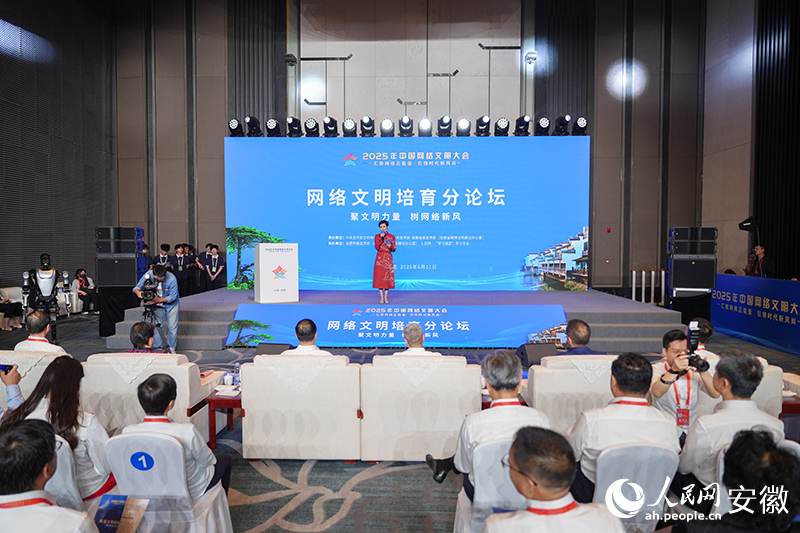 分论坛现场。人民网记者 苗子健摄