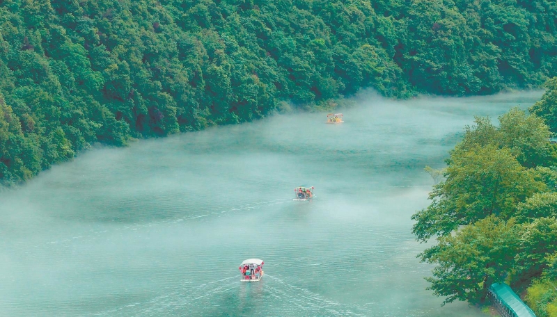 烟雨入画