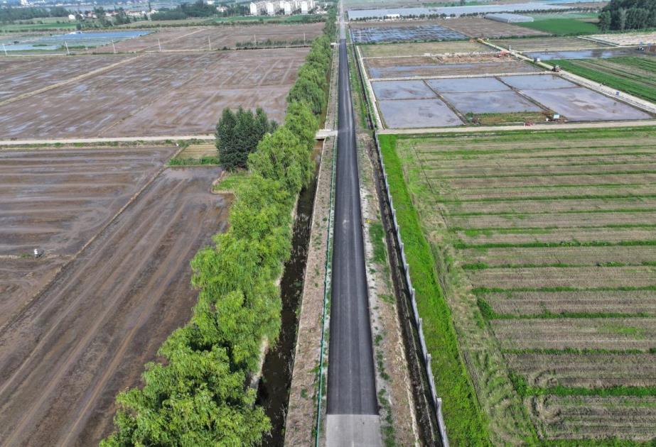 皖中試驗站門前道路修復。