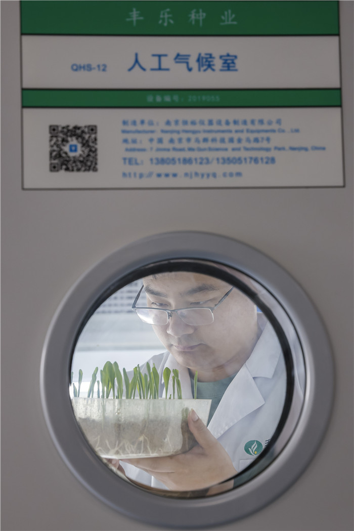 丰乐种业科研人员在实验室。丰乐种业供图