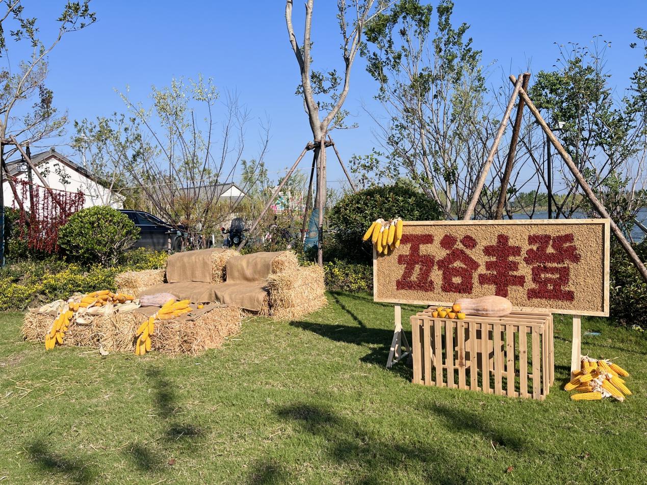 朔裡鎮朔西湖研學基地內活動場景布置。受訪者供圖