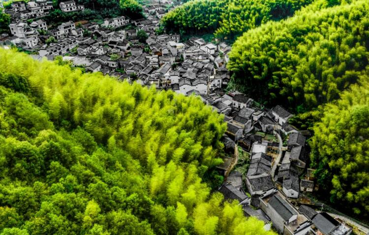 俯瞰靈山村。