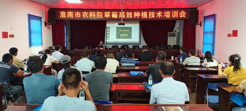 种植技术培训会。王秋林供图