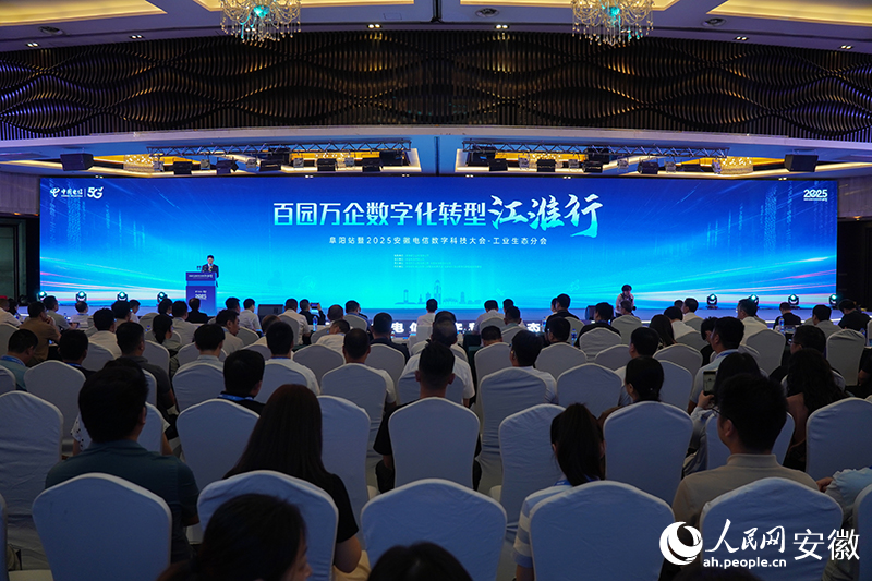 活动现场。人民网记者 陈若天摄