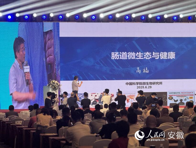 专家作主旨报告。 人民网 吕欢欢摄