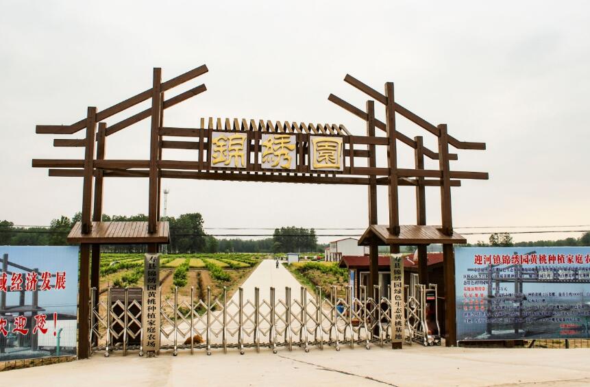 得到金融支持的壽縣錦繡園黃桃種植家庭農場。迎河鎮供圖