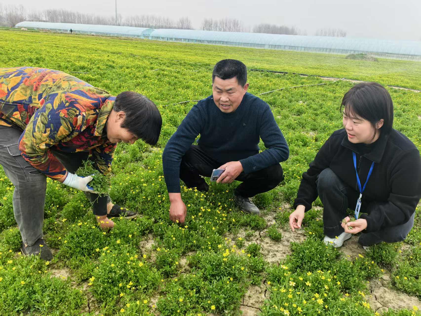 與貓爪草種植戶談心。國元保險安徽分公司供圖