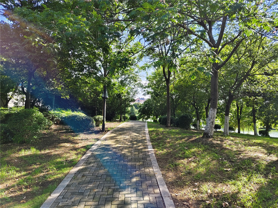 城市绿洲 悦享自然。