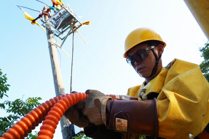 7月6日，國網蚌埠供電公司員工在10千伏湯李33線奶牛場分線進行配電線路改造。嚴志成攝