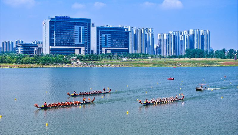 龙舟竞渡少荃湖。合肥新站高新区管委会供图