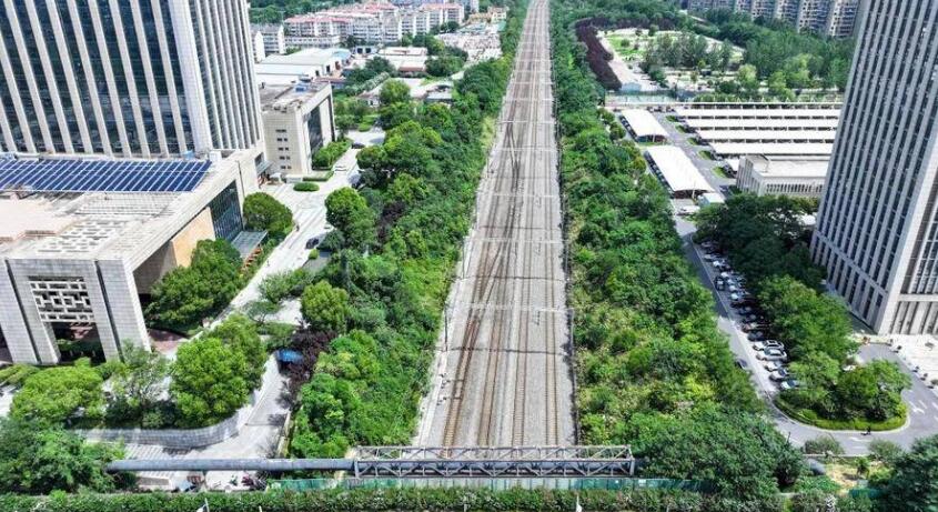 黃山路合九鐵路橋高鐵沿線綠意盎然。