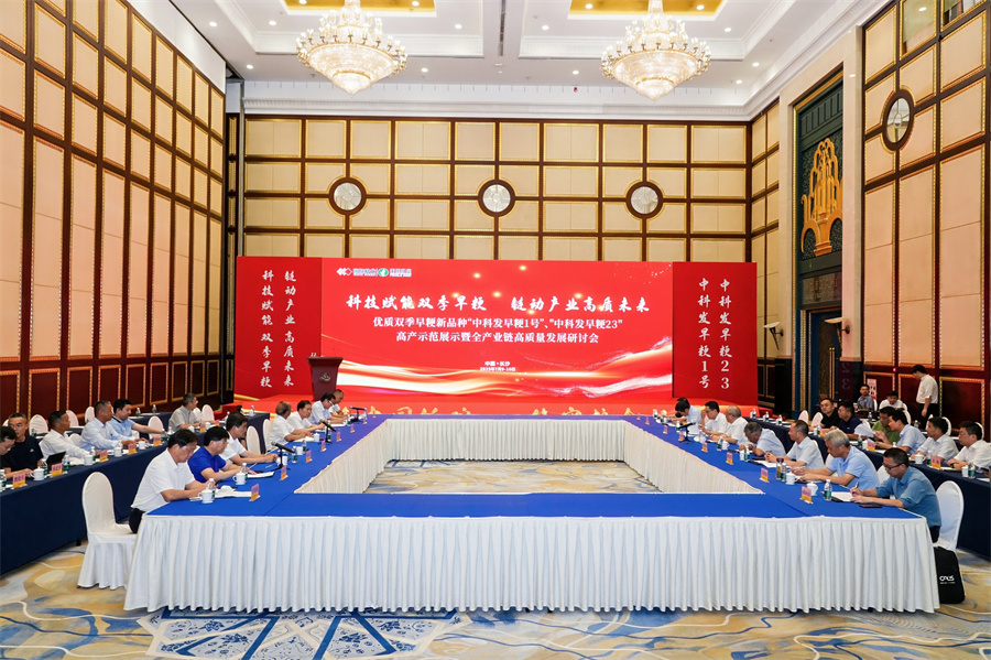 研讨会现场。丰乐种业供图