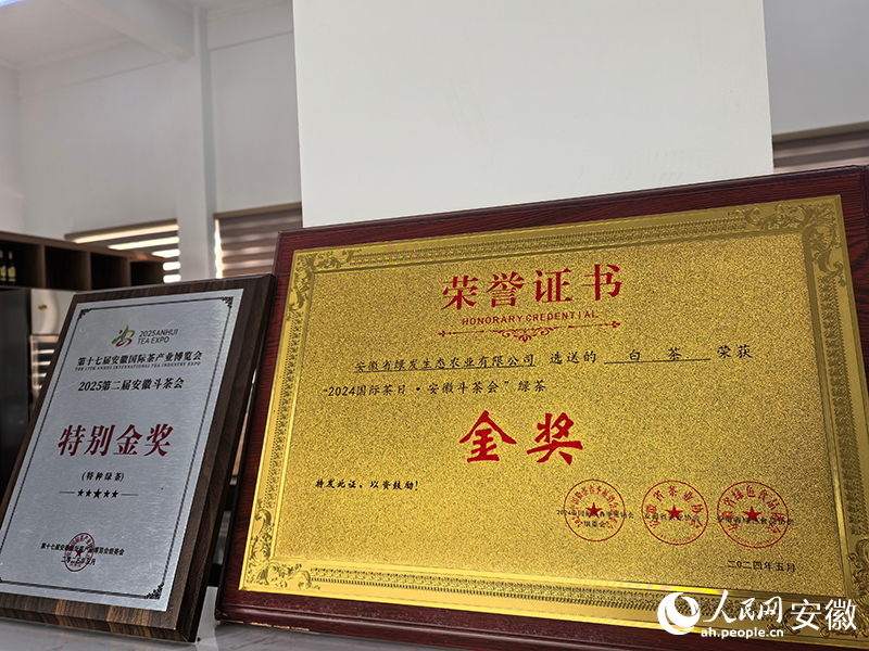钱扬来在安徽斗茶会上捧回来的金奖。人民网记者 汪瑞华摄