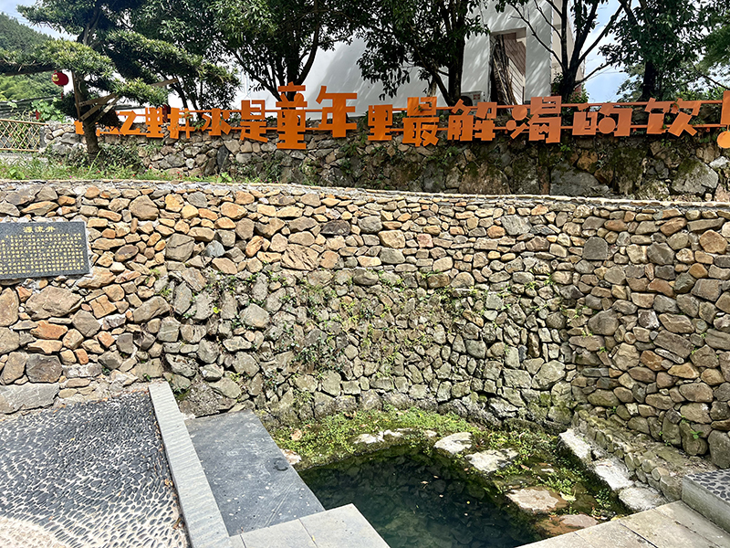 在东山村，沈沅宝常年取水的源流井。人民网记者 汪瑞华摄