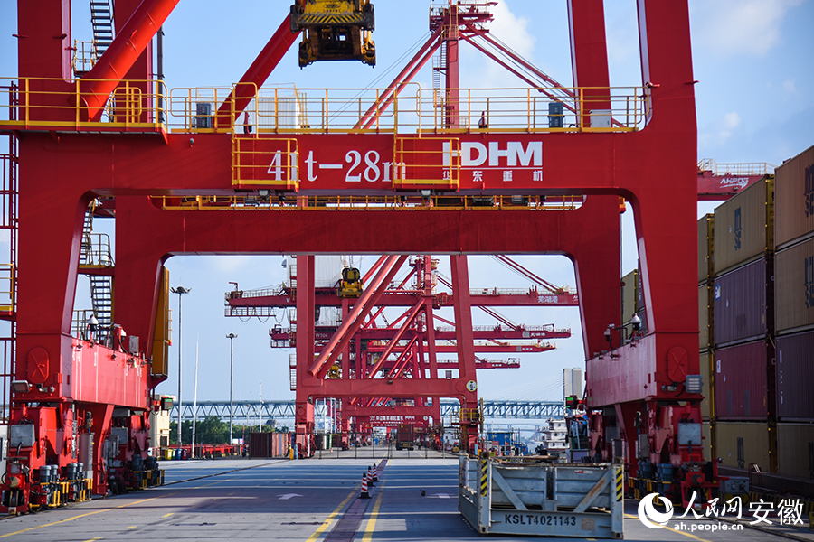 岸桥设备正在装卸货物。人民网记者 李希蒙摄