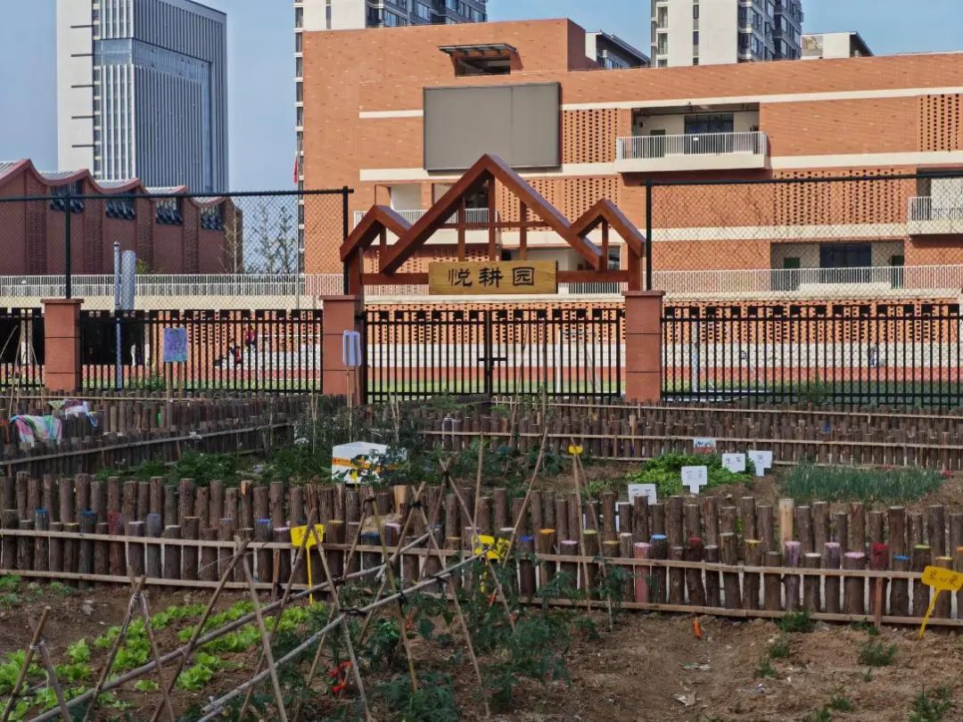“悅耕園”。包河區網格化管理中心供圖