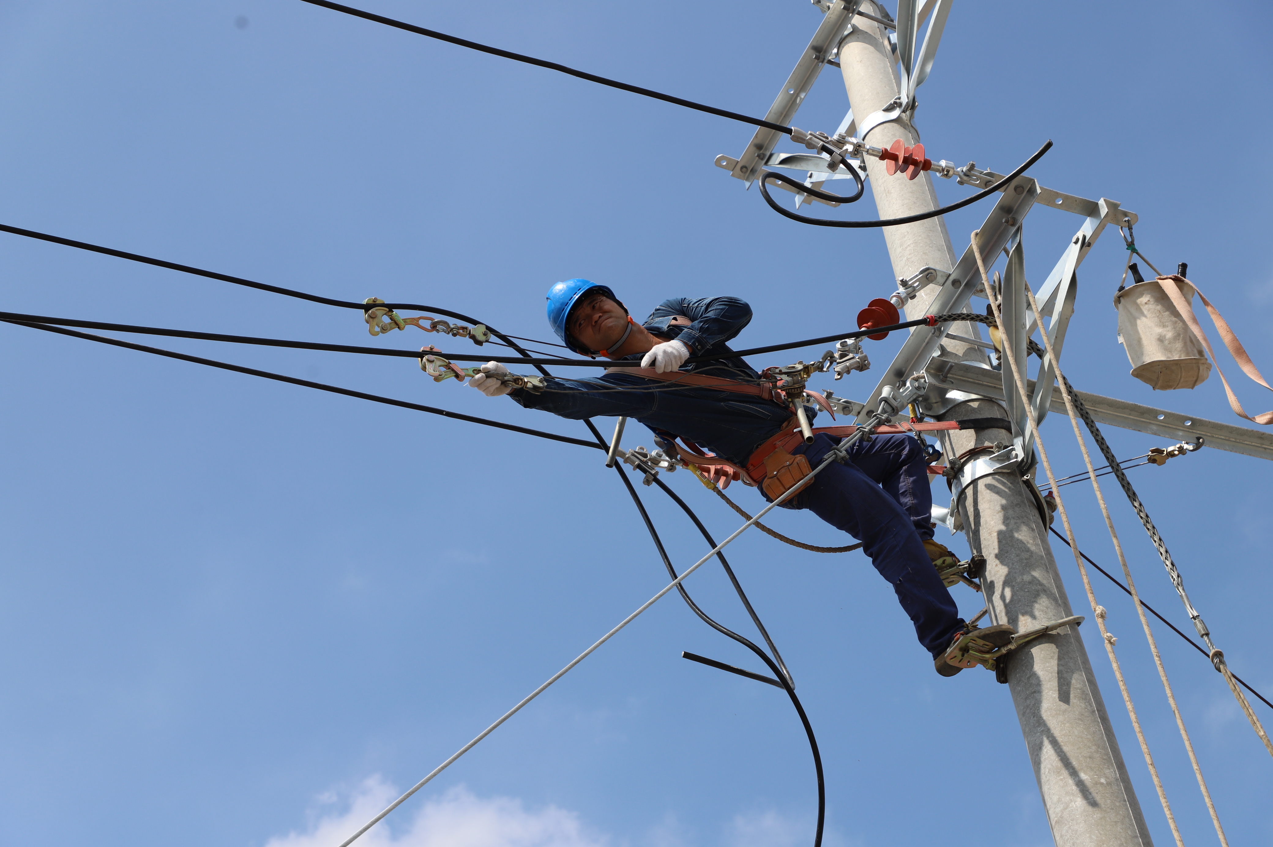 国网涡阳县供电公司工作人员开展10千伏农网升级改造施工。