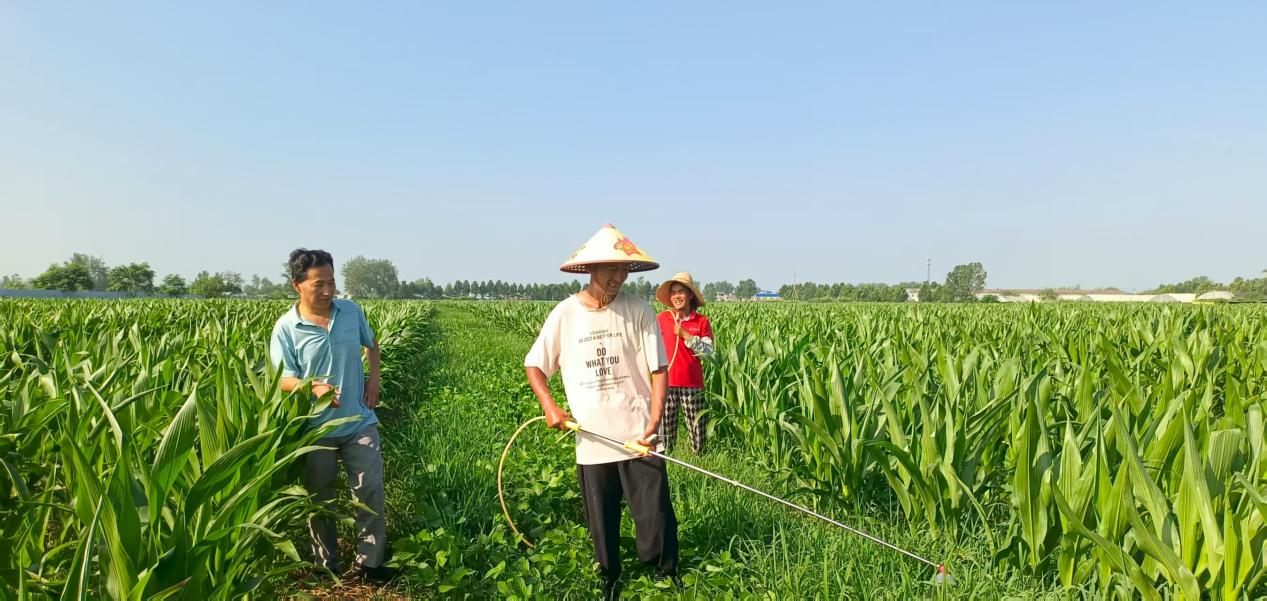 科技助农“一田双收”。