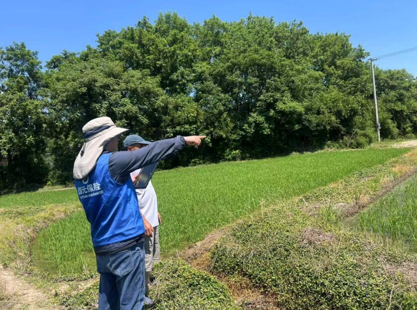 宣城中支。國元保險安徽分公司供圖