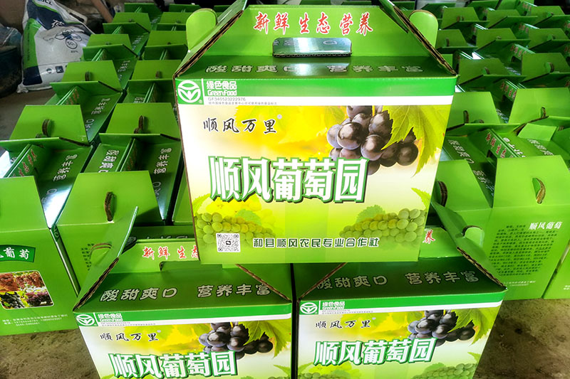葡萄分拣装盒。
