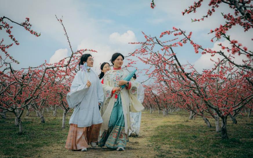 孫廟鄉 “桃園綺夢” 文化節期間，千畝桃花盛開吸引游客駐足。