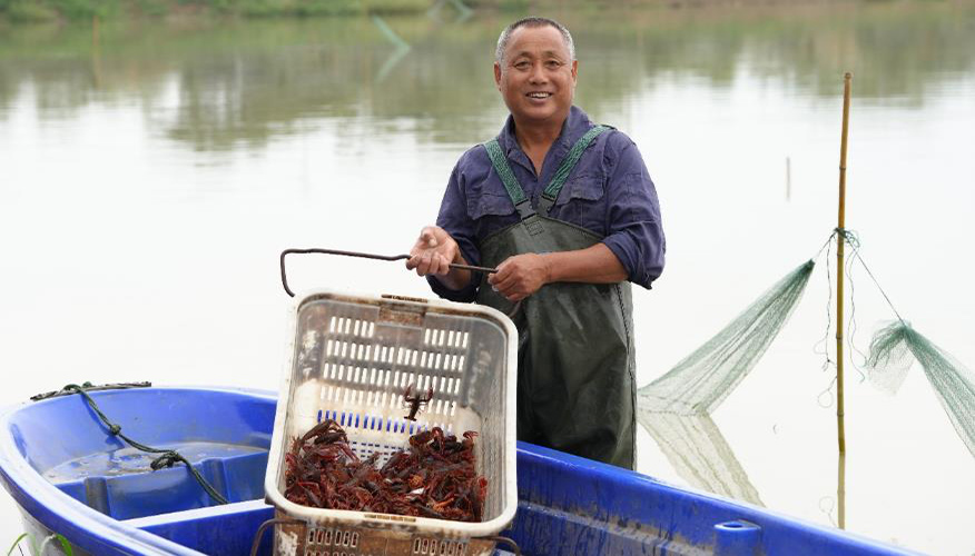 村民袁開滿正在打撈小龍蝦。張海林攝