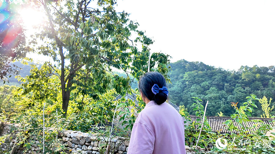 村民正在打板栗。人民網 郭昊攝