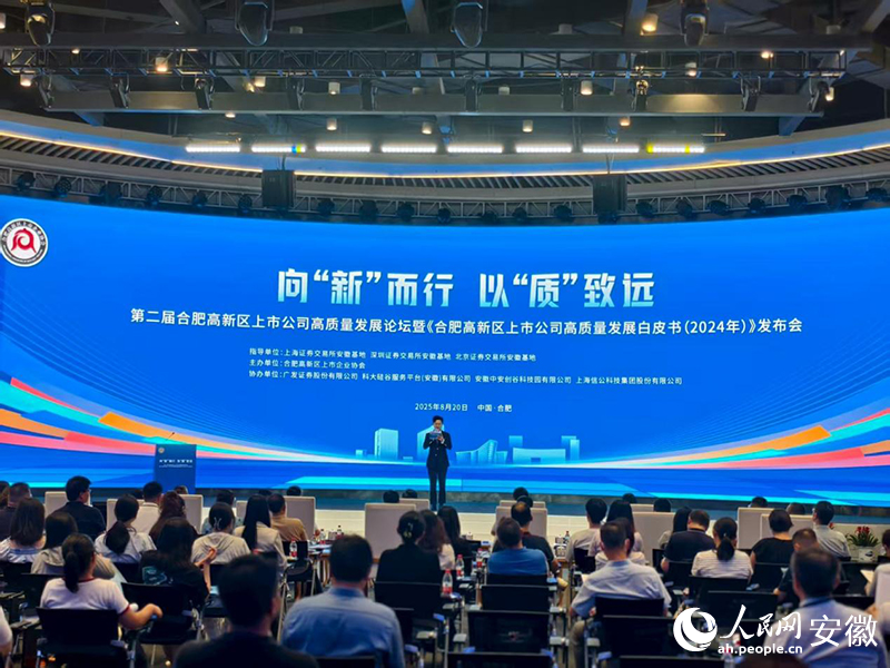 发布会现场。人民网 陶伟摄