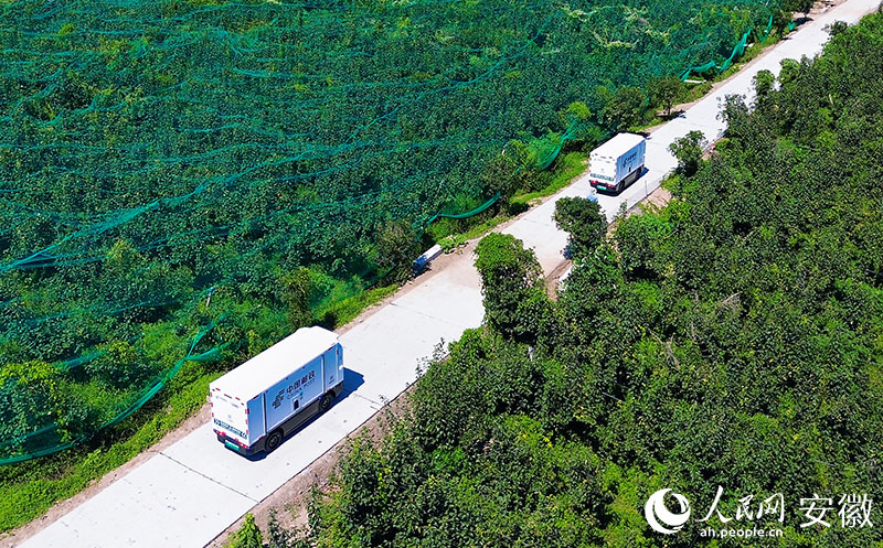 郵政無人車行駛在元圩村的田間地頭。人民網記者 王曉飛攝