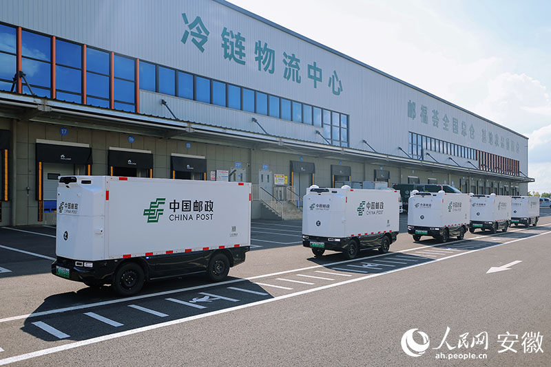 長集冷鏈集配中心的無人車隊。人民網記者 王曉飛攝