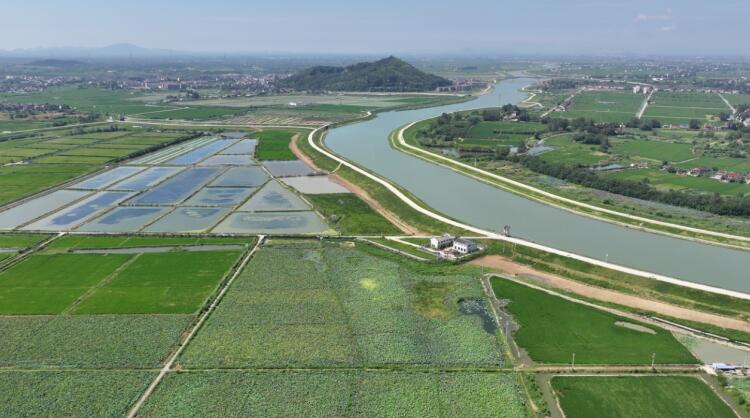 鸟瞰白山镇金沈村莲藕种植基地。