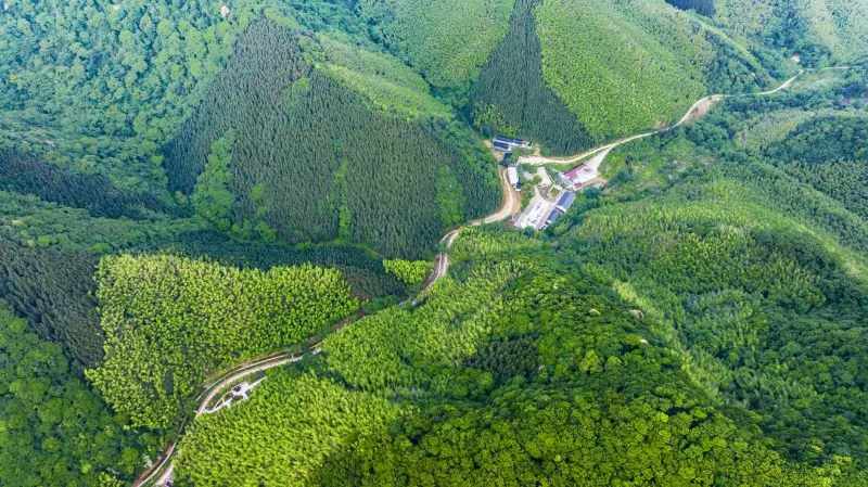 俯瞰南陵縣三裡鎮東山林場。南陵縣委宣傳部供圖